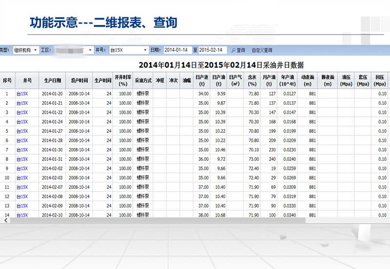 通用开发平台二维报表查询